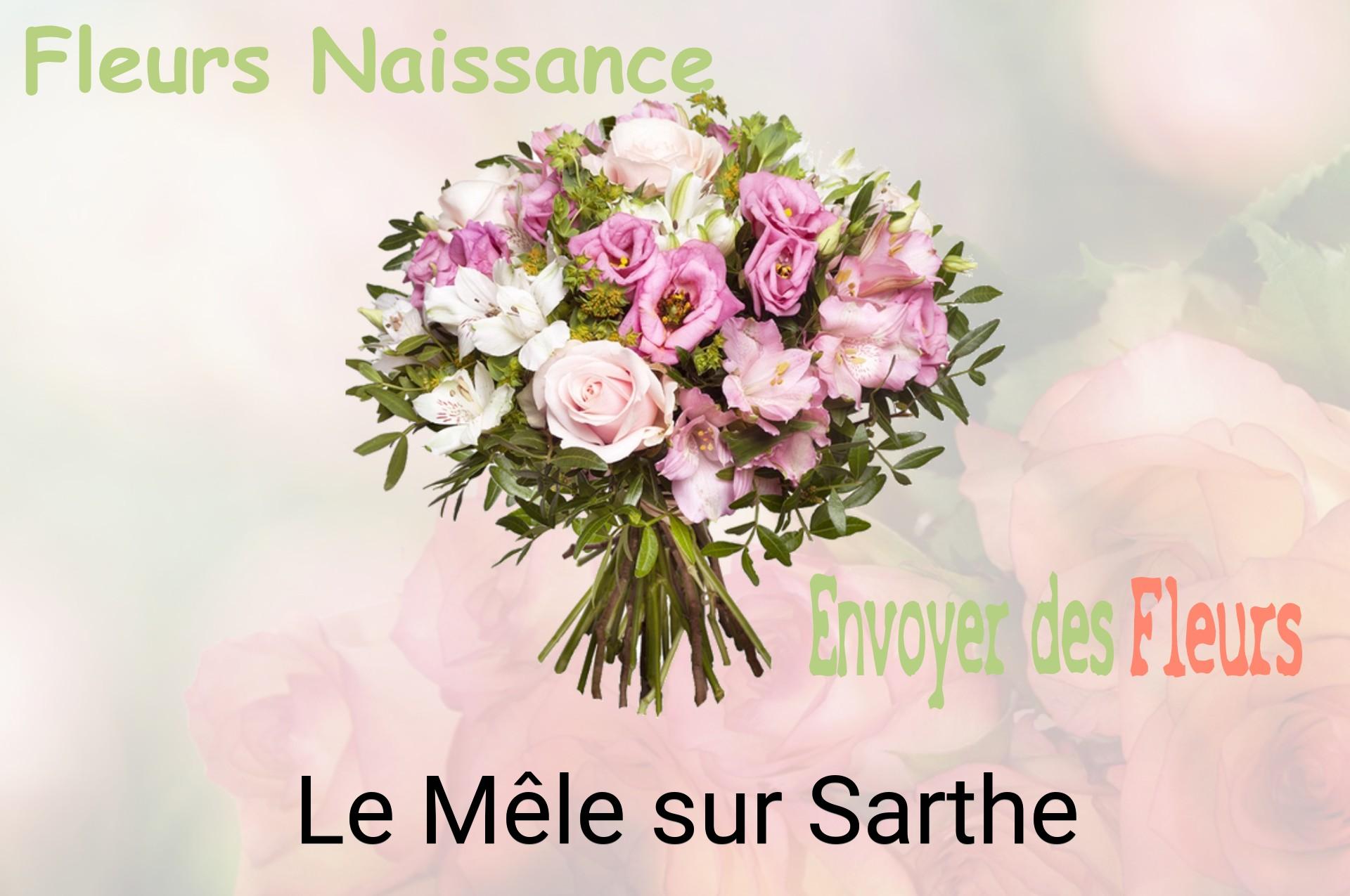 Bouquet de fleurs de naissance livré à Le Mêle-sur-Sarthe